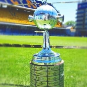 Copa Libertadores De América Tamaño Real Todos Campeones
